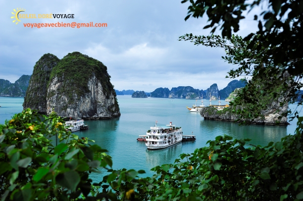 Du lịch Hạ Long 3 ngày 2 đêm