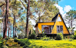 Giá tour Mộc Châu 2 ngày 1 đêm