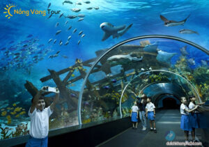 Thủy Cung Nha Trang-tua du lịch Nha Trang