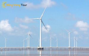 Tour Cần Thơ Cà Mau 3 ngày 2 đêm