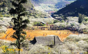 Tour Mộc Châu 2 ngày 1 đêm