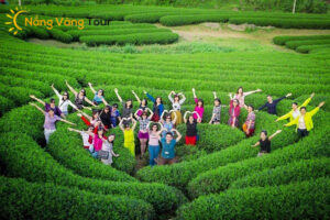 Tour du lịch Mộc Châu 2 ngày 1 đêm