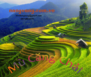 Tour Mù Cang Chải